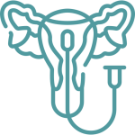 Abnormal Uterine Bleeding